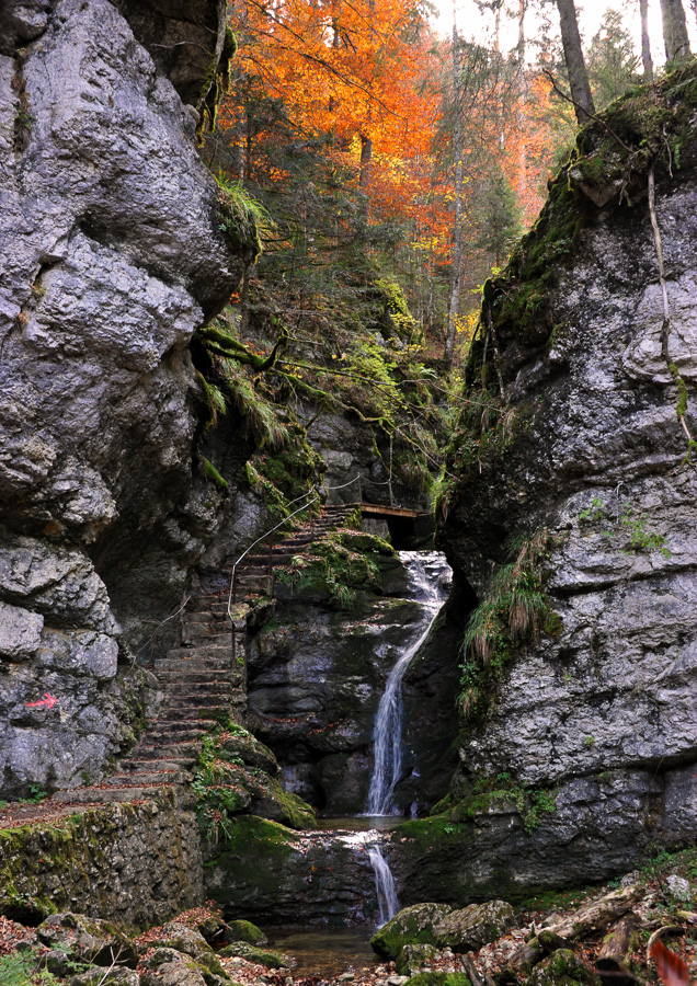 [40 mm, 1/20 Sek. bei f / 7.1, ISO 800]